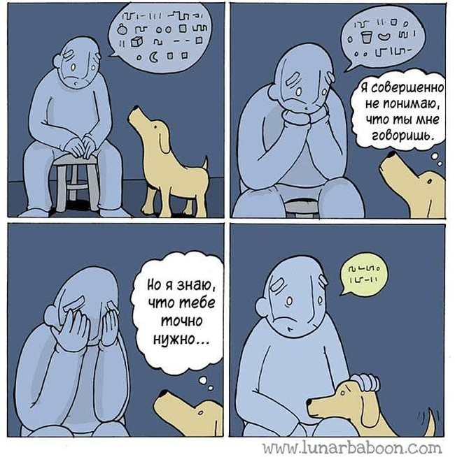   - 1 Lunarbaboon, ,  , 