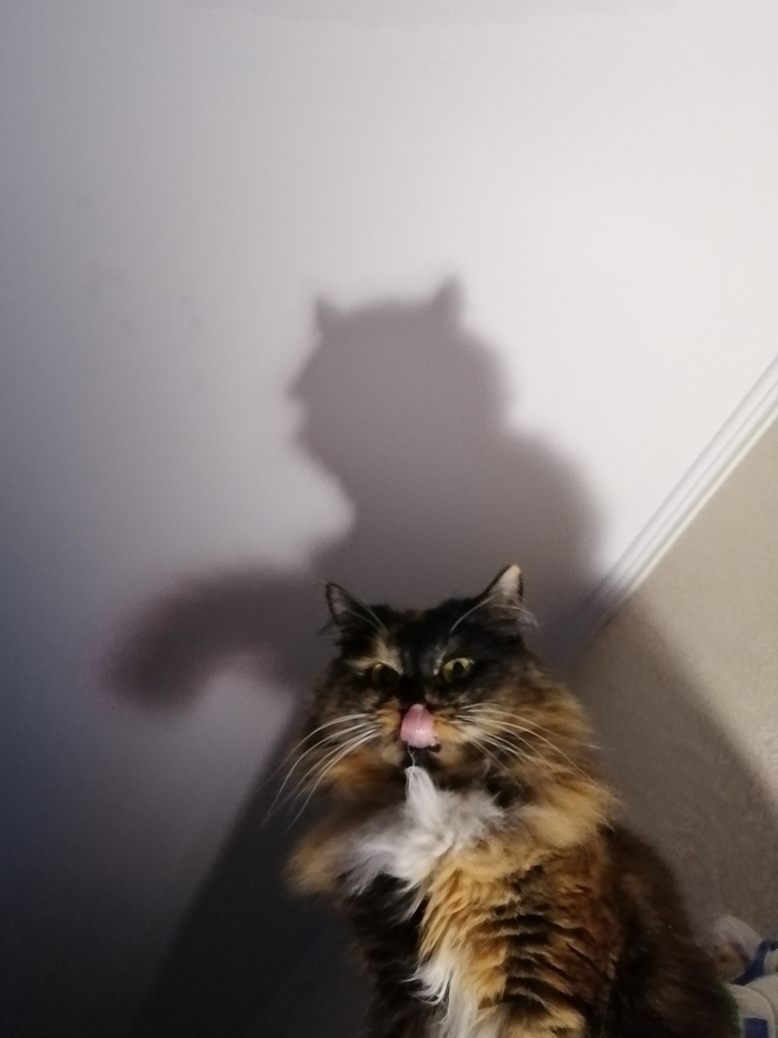 Ответ на пост Этому городу нужен новый герой