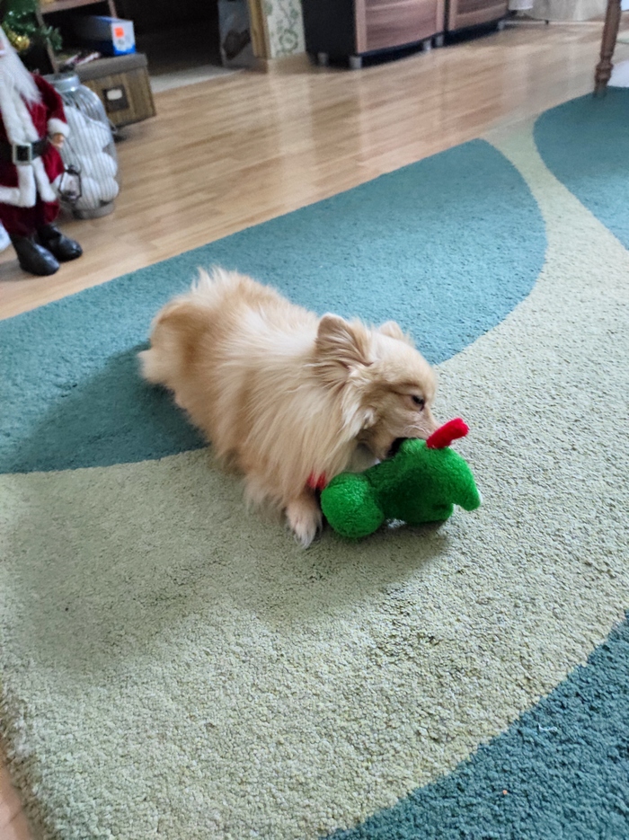 Вспомнил мамку