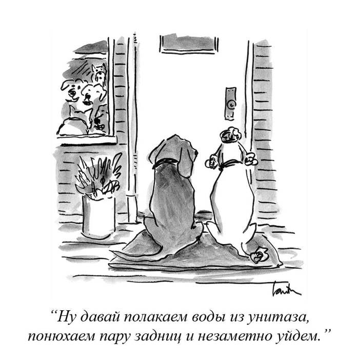 ,         , , , The New Yorker