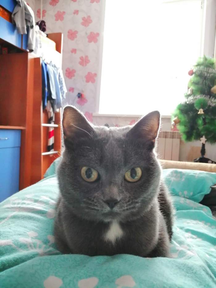 ���� ���������� ����...