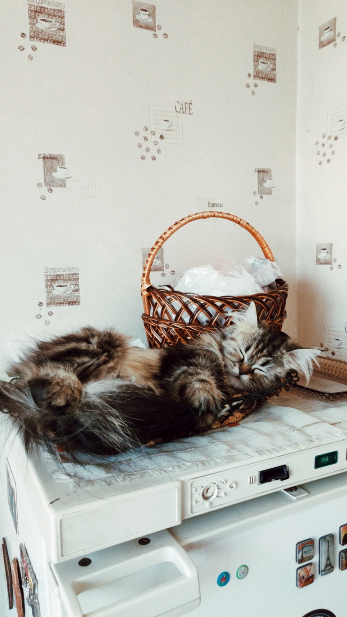 Мне будет тебя не хватать