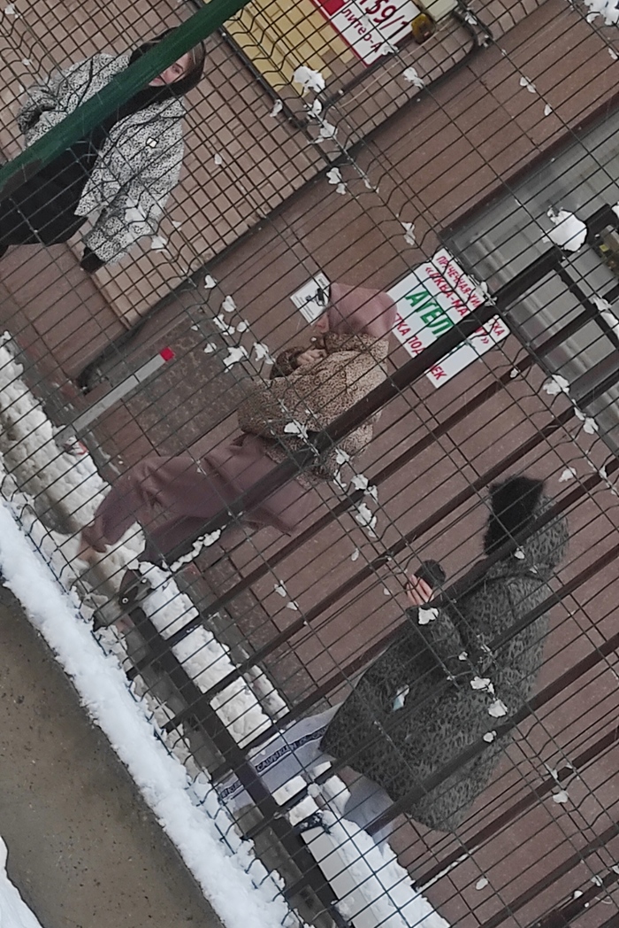 Редкое фото