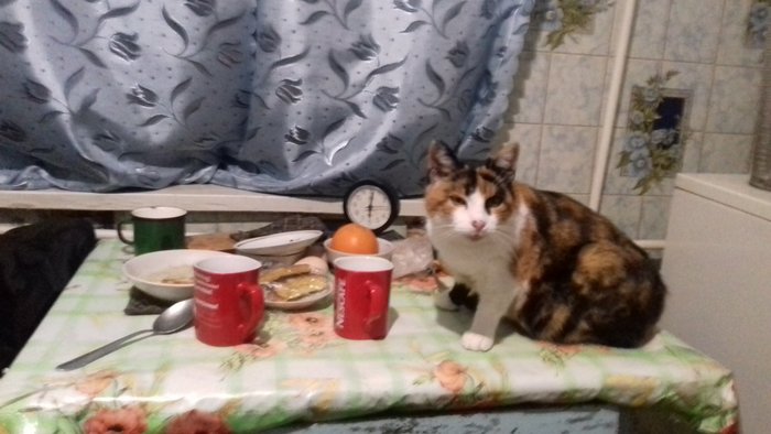 �� ������� �� ...