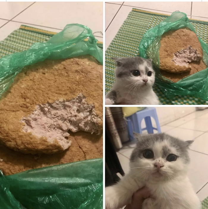 Не знаю, кто погрыз, я сам обалдел