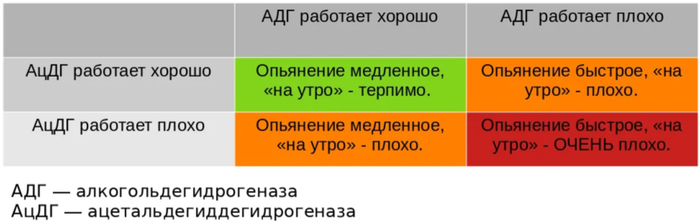 Алкоголь: друг/враг, немного биохимического о нём Алкоголь, Водка, Биохимия, Алкоголизм, Этанол, Этиловый спирт, Длиннопост