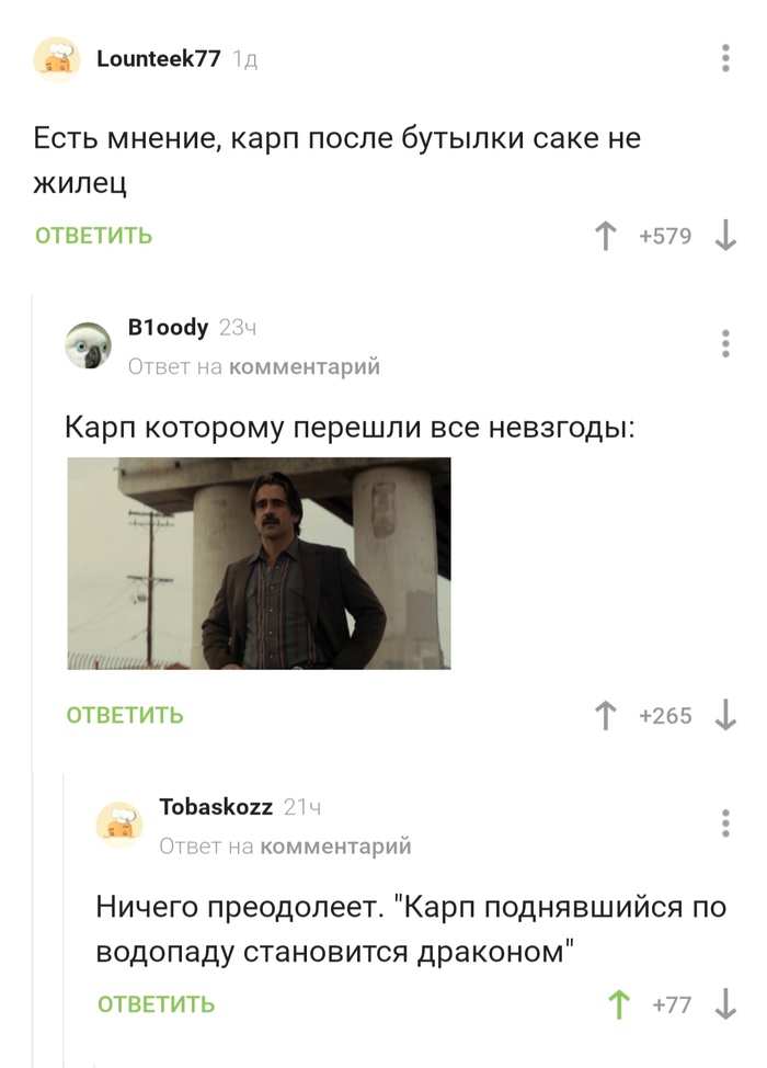 Карпом в Японии быть опасно, могут не только съесть