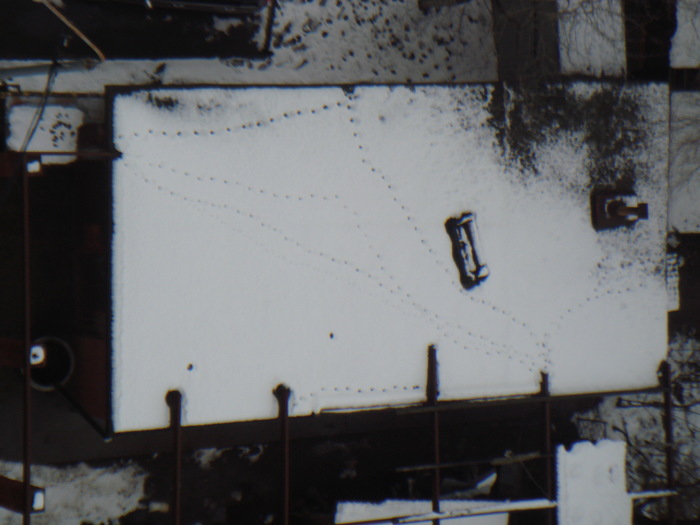 �������� ����. ��� ������