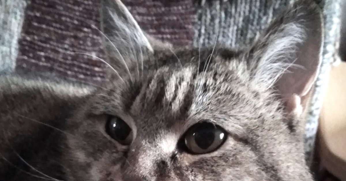 Senior | Пикабу