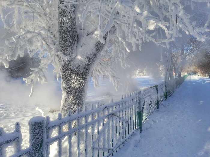 Январская сказка...