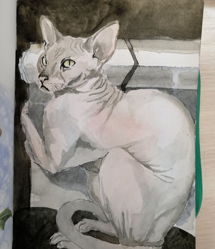 ������ ���� �� ����� -28