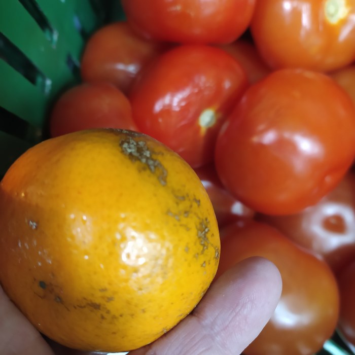 Россия и Пакистан