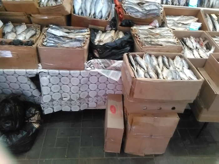 рынок рыбы в астрахани. Смотреть фото рынок рыбы в астрахани. Смотреть картинку рынок рыбы в астрахани. Картинка про рынок рыбы в астрахани. Фото рынок рыбы в астрахани рынок рыбы в астрахани. Смотреть фото рынок рыбы в астрахани. Смотреть картинку рынок рыбы в астрахани. Картинка про рынок рыбы в астрахани. Фото рынок рыбы в астрахани