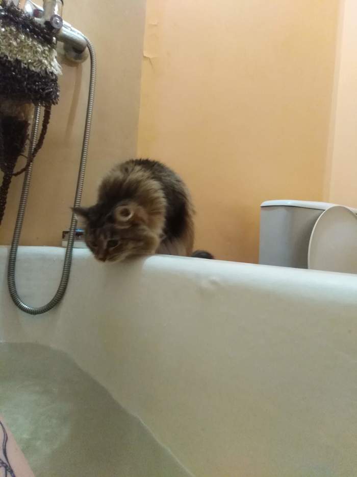 Ответ на пост "Эй, ты там не утоп? "