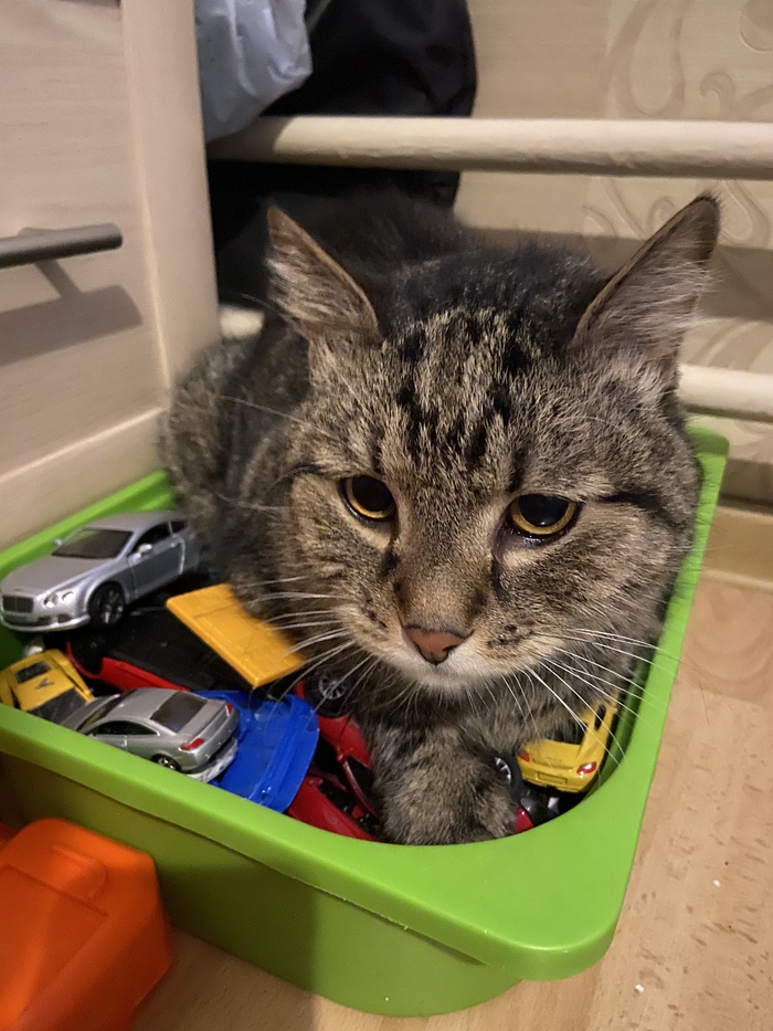 ��� ����� �� ���������� ������ �������