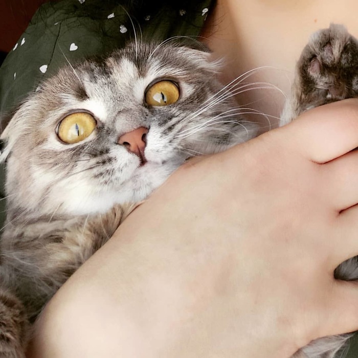 ������������...