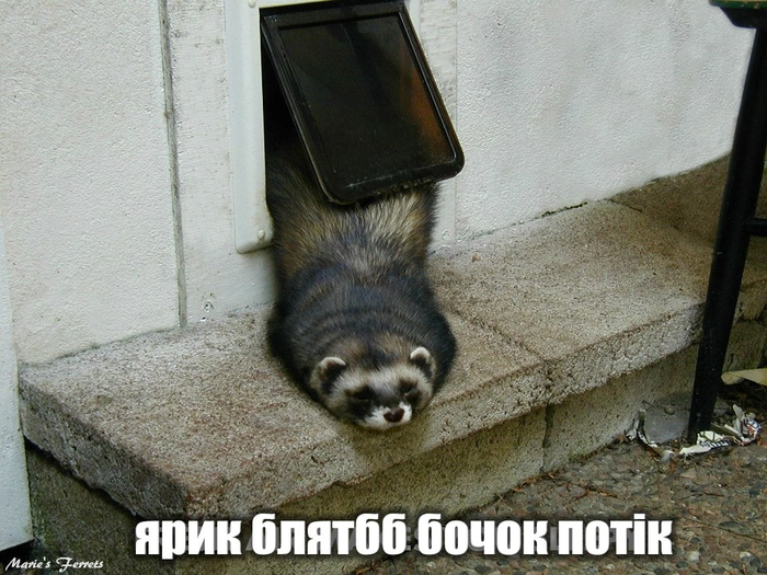 ���� ������� �� ��, ������ ������� ��� :3