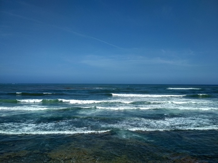 "Бесплатно" слетали в Марокко Текст, Путешествия, Позитив, Марокко, Компенсация, Чайки, Длиннопост