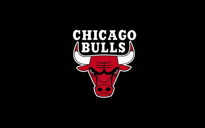 Go Chicago Bulls!!! , Chicago bulls, NBA, 
