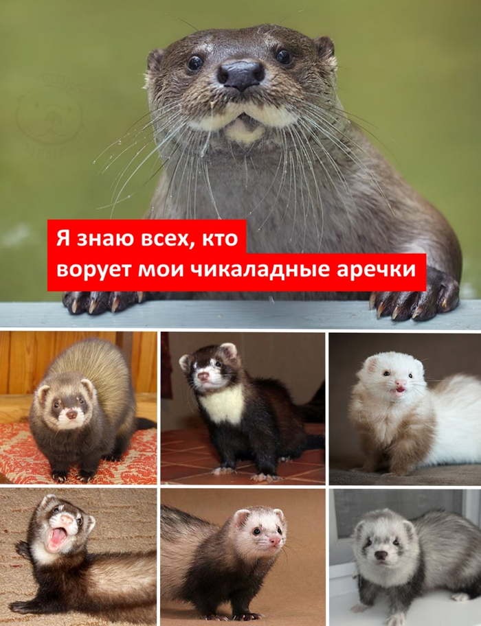 �������������!