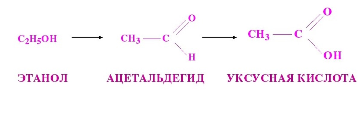 Гидролиз этилового эфира уксусной кислоты