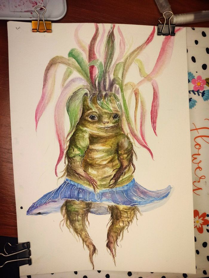 Мандрагора в юбке