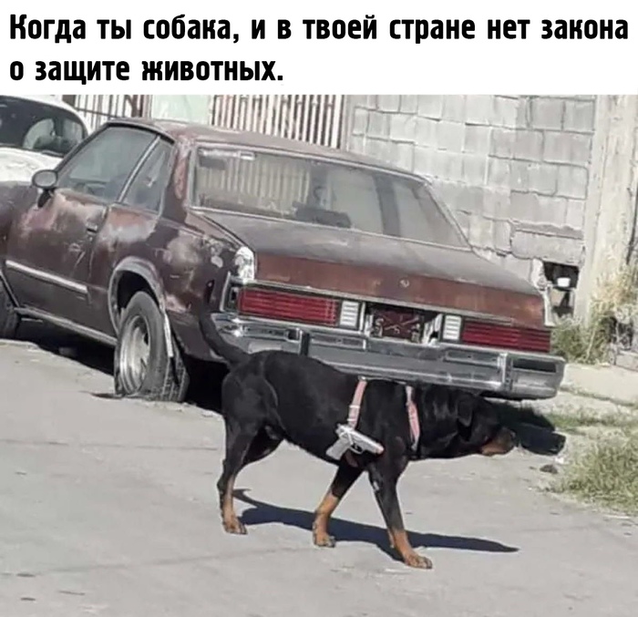 ���������� ������� �����!