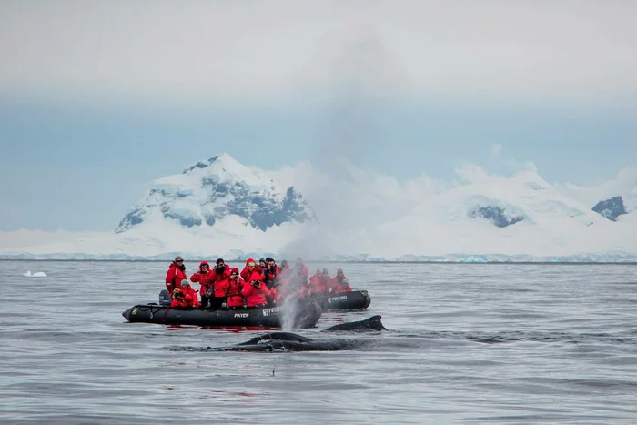 Самый южный город мира: как живут люди в Антарктиде. Мак-Мердо Антарктида, Антарктика, Южный полюс, Север, Путешествия, Океан, Туризм, Наука, Корабль, Исследования, Техника, География, Длиннопост Самый южный город мира: как живут люди в Антарктиде. Мак-Мердо Антарктида, Антарктика, Южный полюс, Север, Путешествия, Океан, Туризм, Наука, Корабль, Исследования, Техника, География, Длиннопост