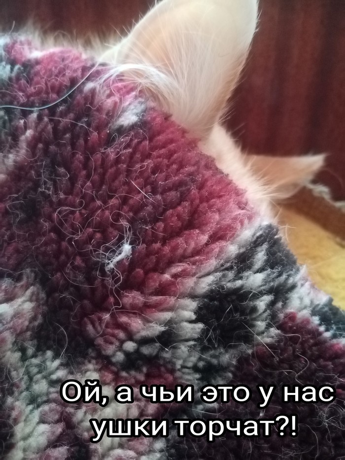    ... ,  , ,  , 