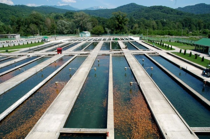 ������������ ������������