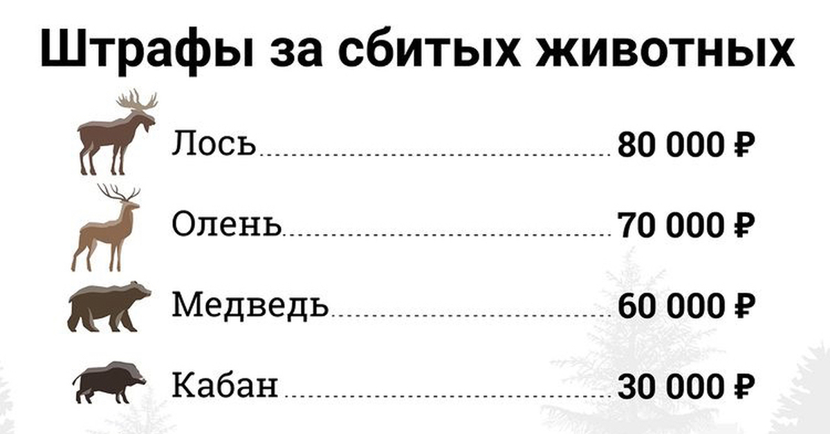 Таблица животных. Размеры животных таблица. Таблица за сбитых животных. Сколько стоит сбить животное.