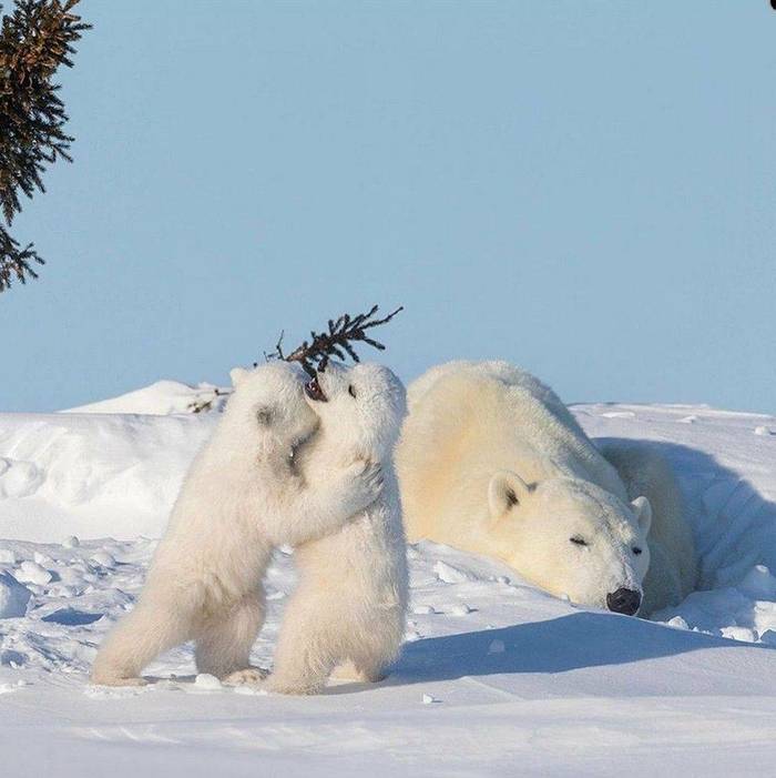 ����� �����