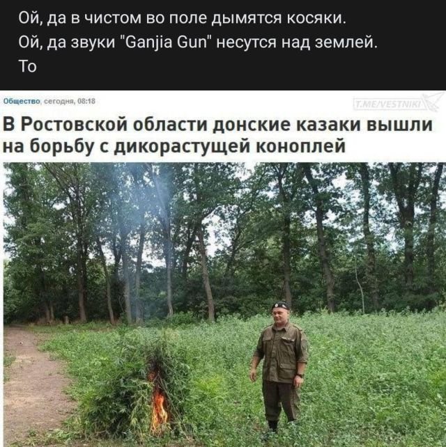 Рифмы про коноплю законы об марихуане в россии