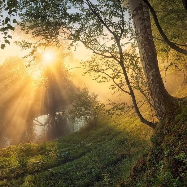 �������-����