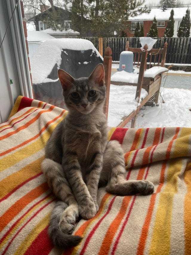 Нам нужно серьезно поговорить!