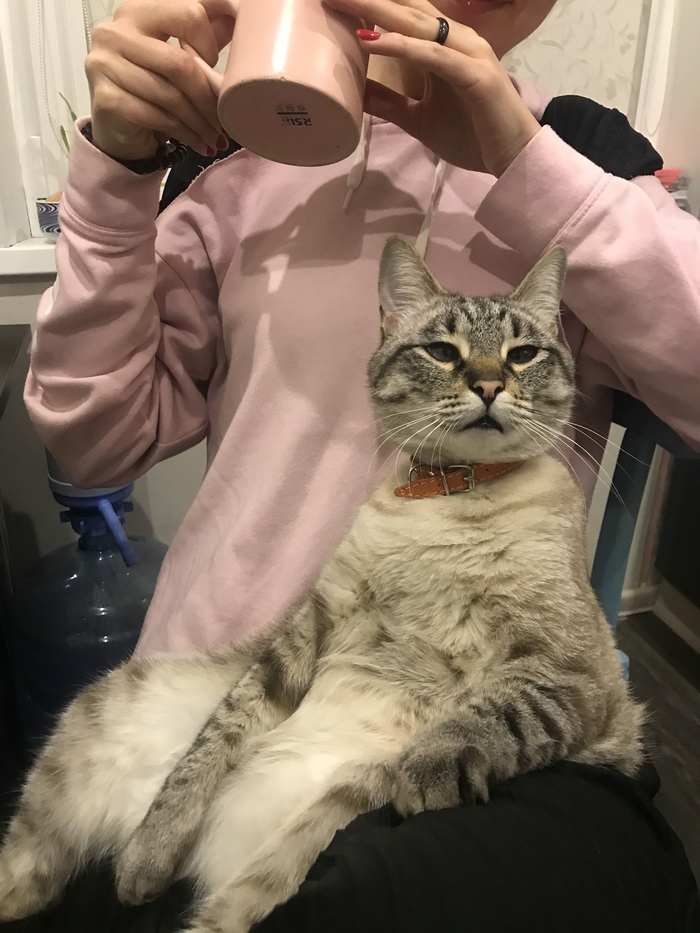 Сразу видно, кто в доме хозяин