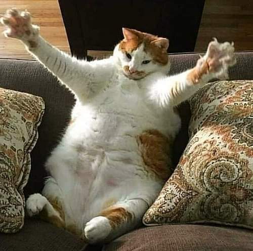 ��� ����� ���� ������ ������