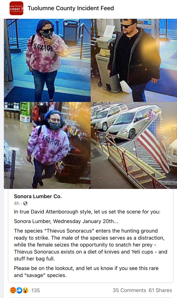 Редкие твари