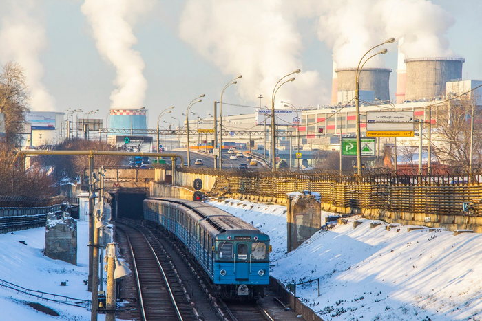 Ёжик на ТКЛ