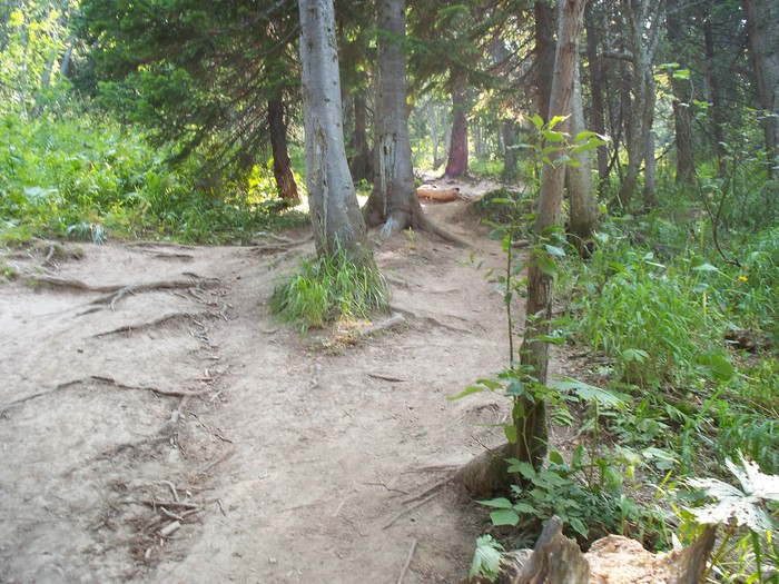 ���� ������ "����������"