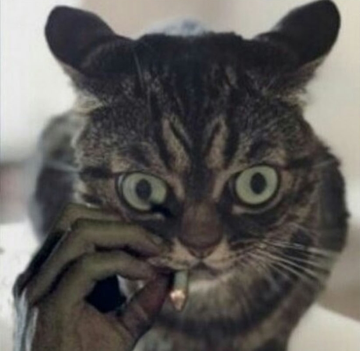 ����� �� ���� ������ ��� �� ������������, ����� �� ��������� �����, ����� ��� ������� ������� � ���� � ���� ���?�