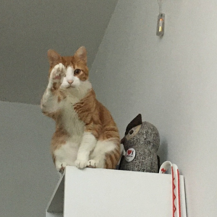 ����-�������