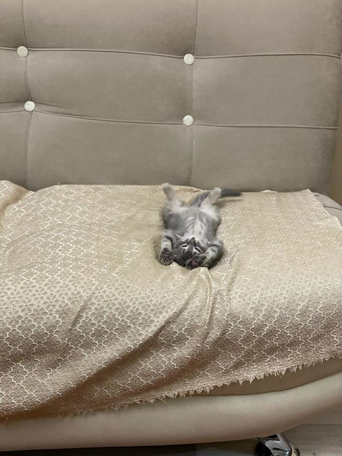 Сладких снов!