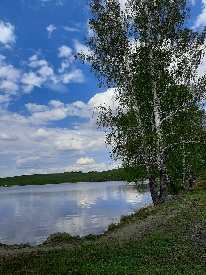 Собака и клубника фото. 1611621978189623612. Собака и клубника фото фото. Собака и клубника фото-1611621978189623612. картинка Собака и клубника фото. картинка 1611621978189623612. Собаке в рационе нужно не только мясо, но и овощи, фрукты и ягоды. Но не все они одинаково полезны и, даже если ваш питомец с удовольствием что-то ест, еще не факт, что ему это разрешено. В статье поговорим о том, можно ли собакам клубнику, и в каких количествах.