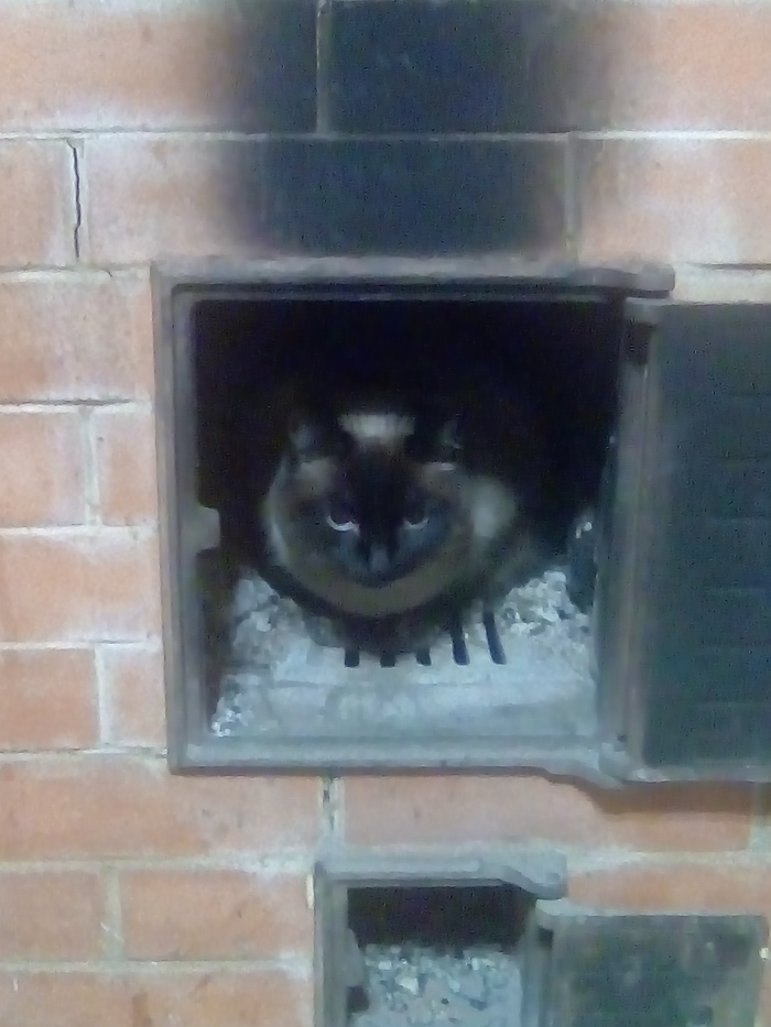 Большой уголёк