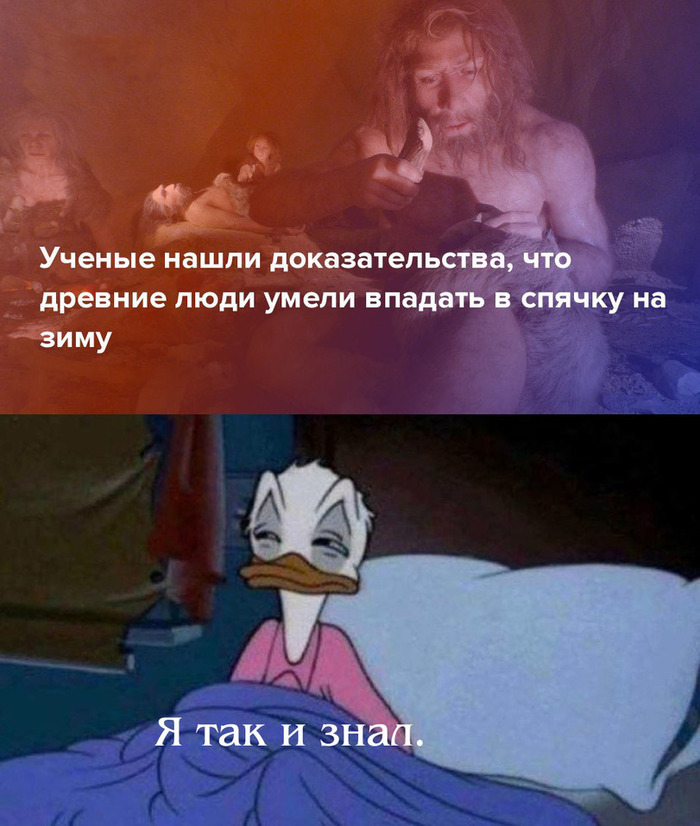 Что будет если не спать неделю можно ли умереть