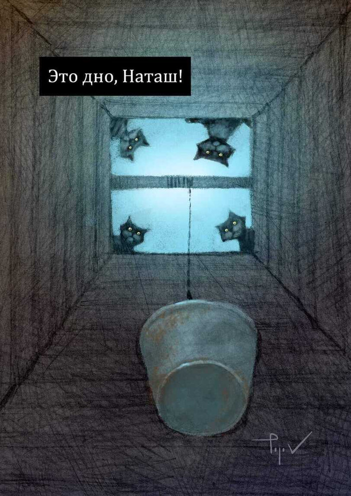   ,       , ,   