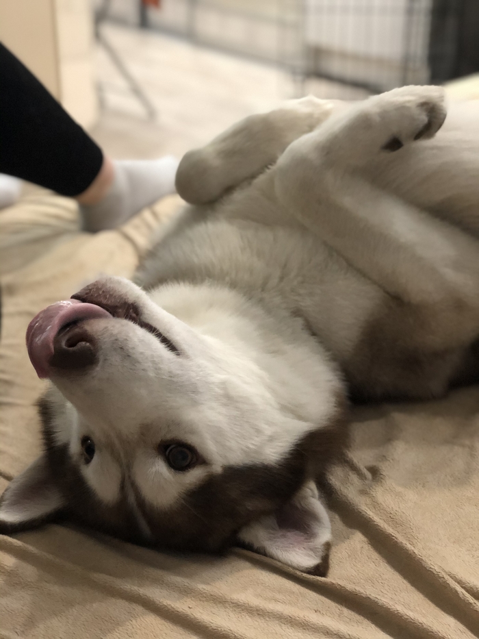 ����� �������� ������