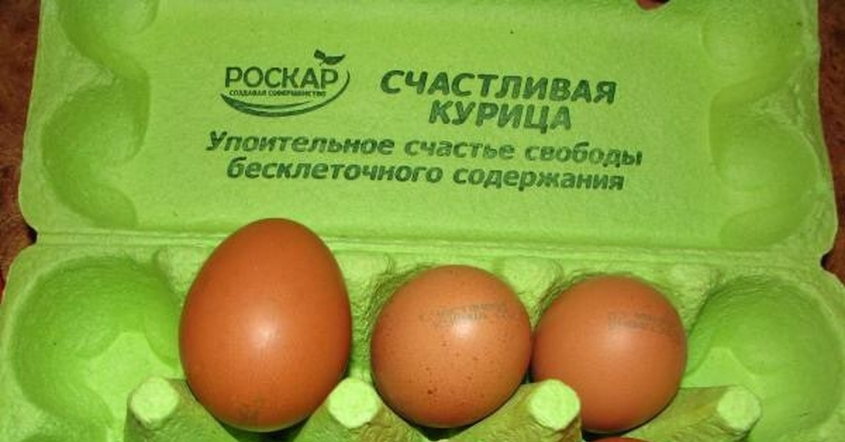 Объявление о продаже яиц домашних образец