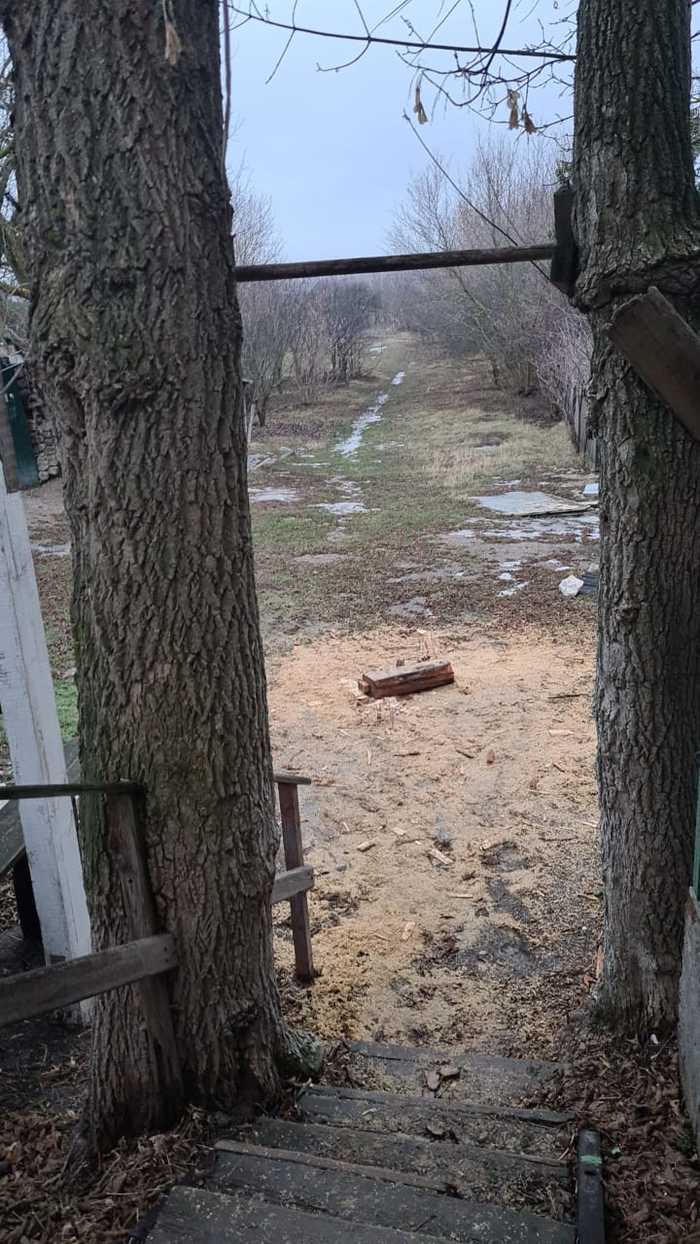 Сила природы